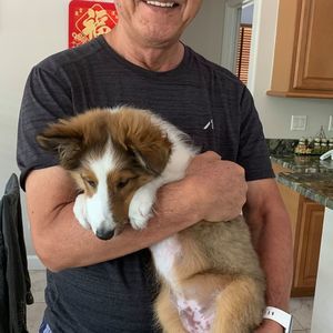 Meet your Posher, Linda